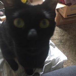 Meet your Posher, Leala